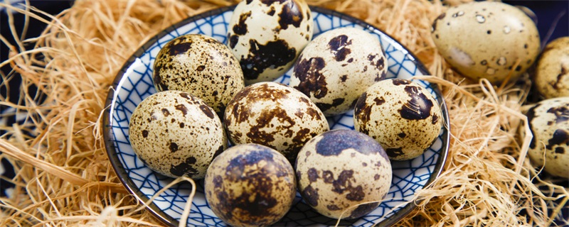 鹌鹑蛋 怎么煮鹌鹑蛋冰球突破平台如何煮